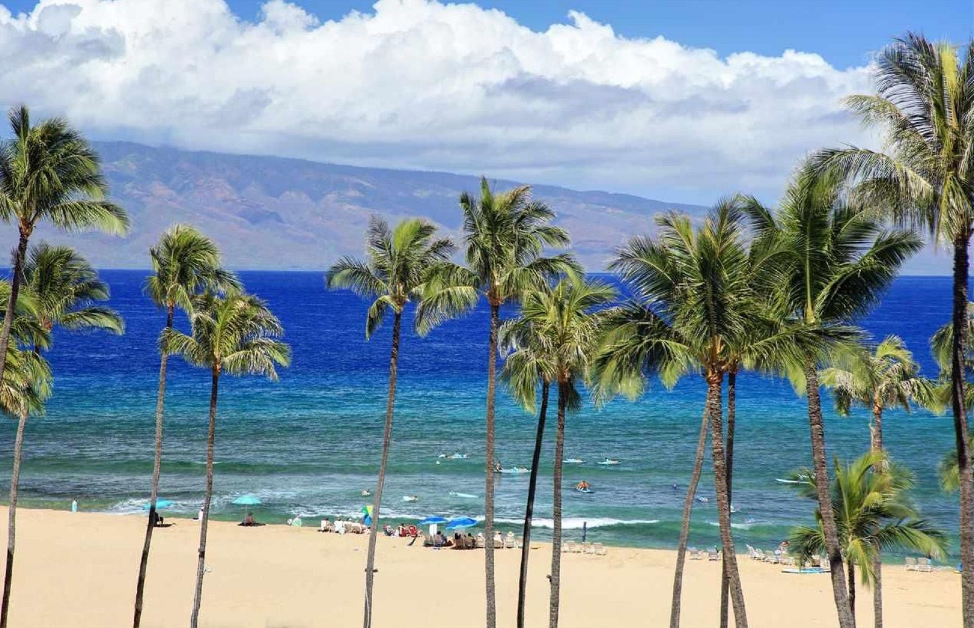 Exclusive Penthouse Suites